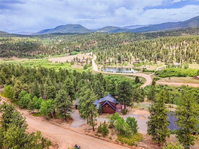 226 Bandit Ln, Bailey, CO 80421 - photo 3