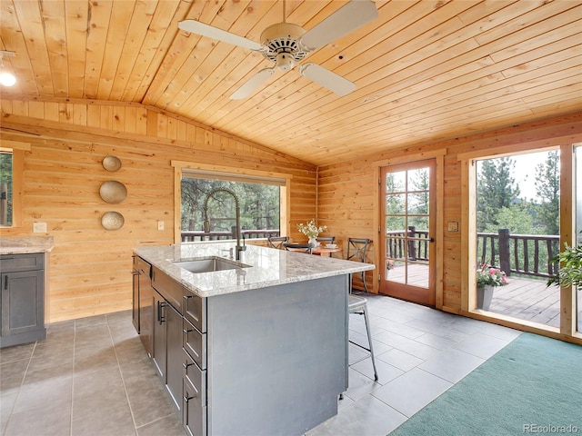 226 Bandit Ln, Bailey, CO 80421 - photo 6
