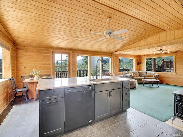 226 Bandit Ln, Bailey, CO 80421 - photo 7