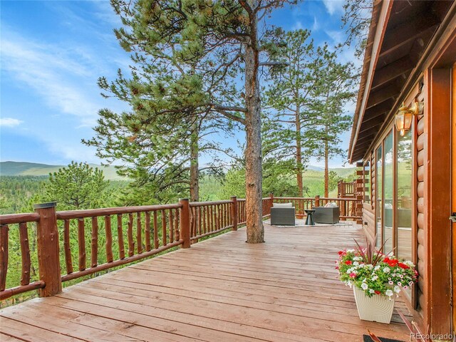 226 Bandit Ln, Bailey, CO 80421 - photo 21