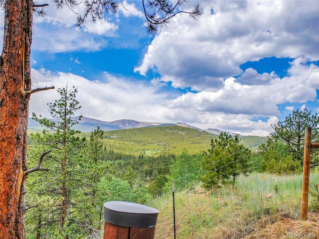 226 Bandit Ln, Bailey, CO 80421 - photo 23