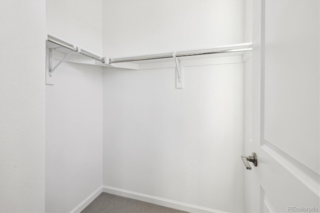 spacious closet with carpet