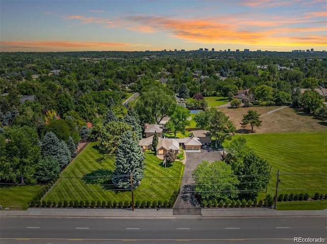 bird's eye view