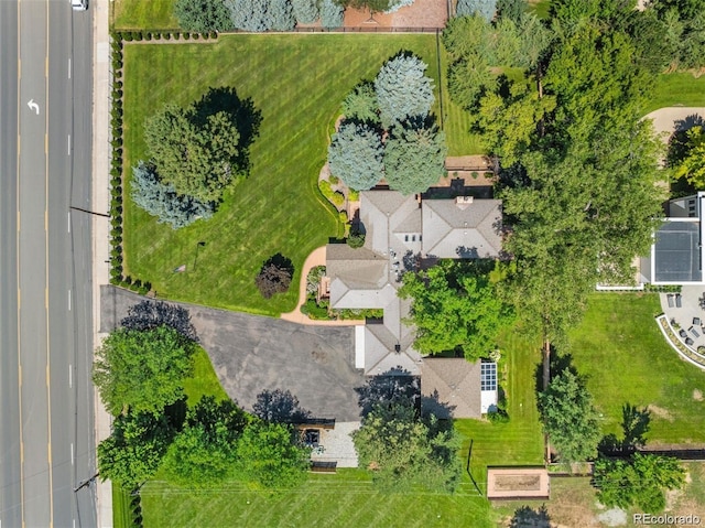 drone / aerial view