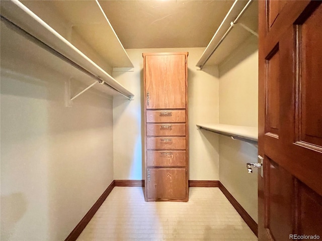 view of spacious closet