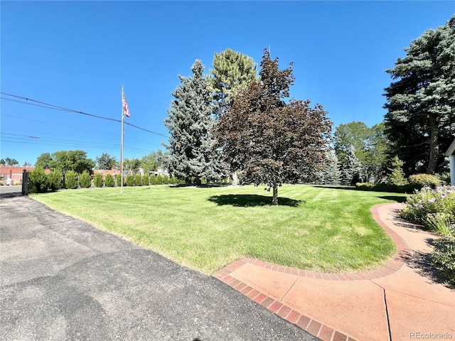 view of yard