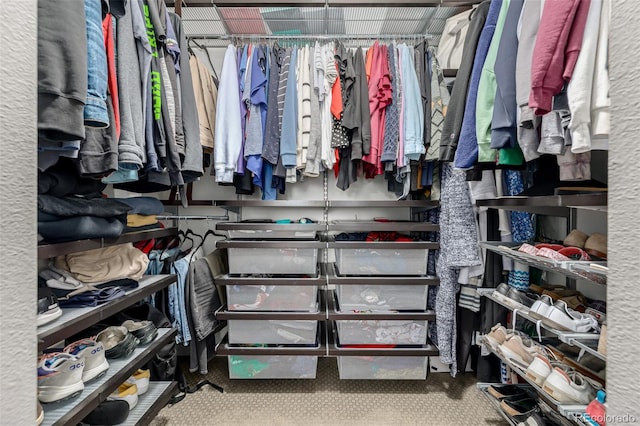view of walk in closet