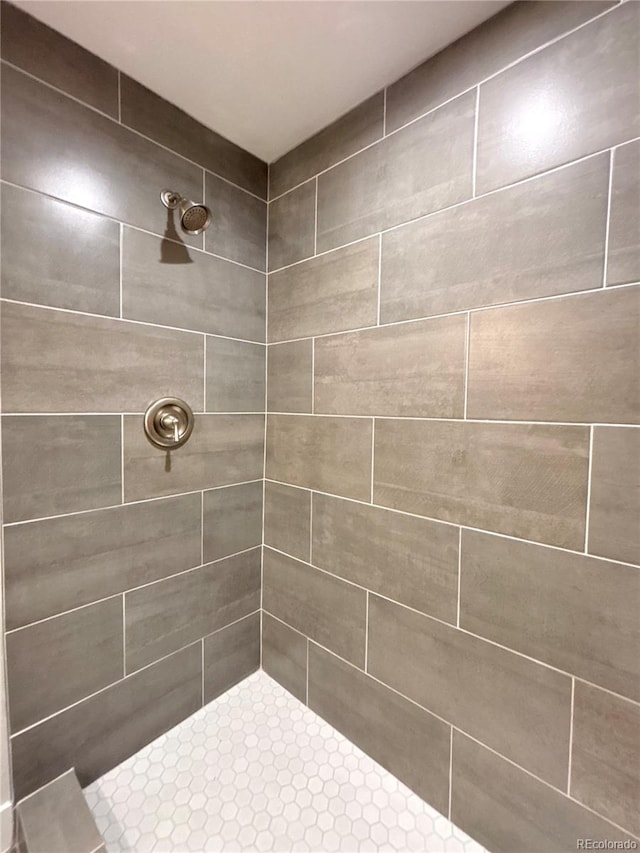 323 Southpark Rd, Highlands Ranch, CO 80126 - photo 23