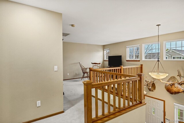 4498 Buena Vista Ct, Castle Rock, CO 80109 - corridor featuring an upstairs landing, carpet floors, healthy amount of natural light, and baseboards