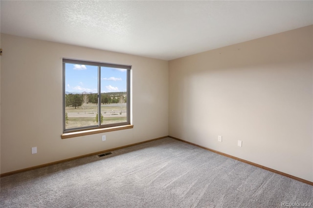1020 Forest Edge, Woodland Park, CO 80863 - photo 20