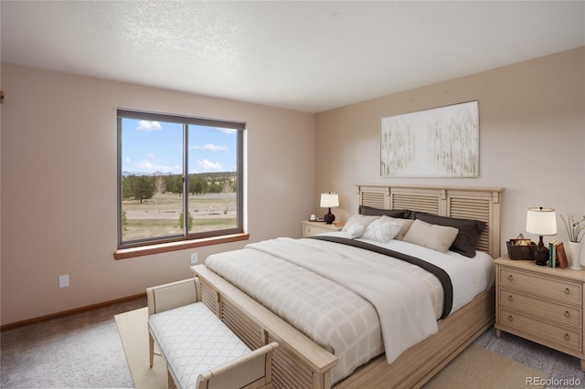 1020 Forest Edge, Woodland Park, CO 80863 - photo 21