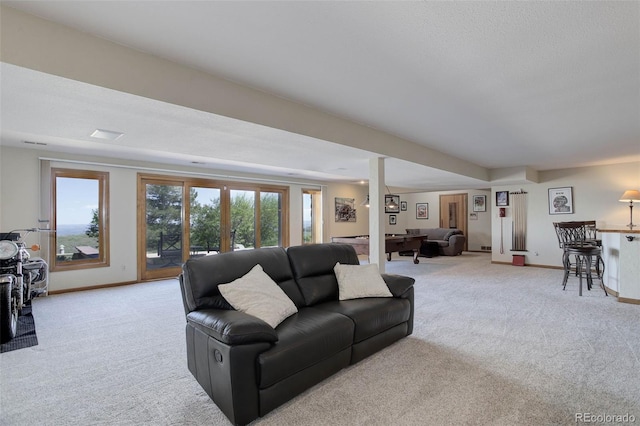 51 W Ranch Trl, Morrison, CO 80465 - living area featuring carpet floors and baseboards