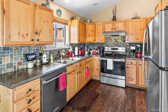 612 Sheep Ridge Rd, Fairplay, CO 80440 - kitchen with stainless steel appliances, under cabinet range hood, light brown cabinets, and vaulted ceiling