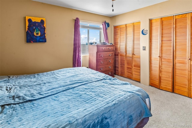 612 Sheep Ridge Rd, Fairplay, CO 80440 - bedroom featuring two closets and light colored carpet