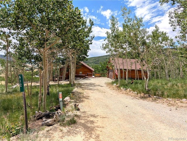 612 Sheep Ridge Rd, Fairplay, CO 80440 - view of dirt / gravel road