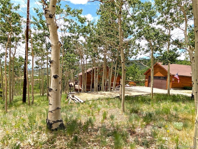 612 Sheep Ridge Rd, Fairplay, CO 80440 - view of yard featuring an outdoor structure
