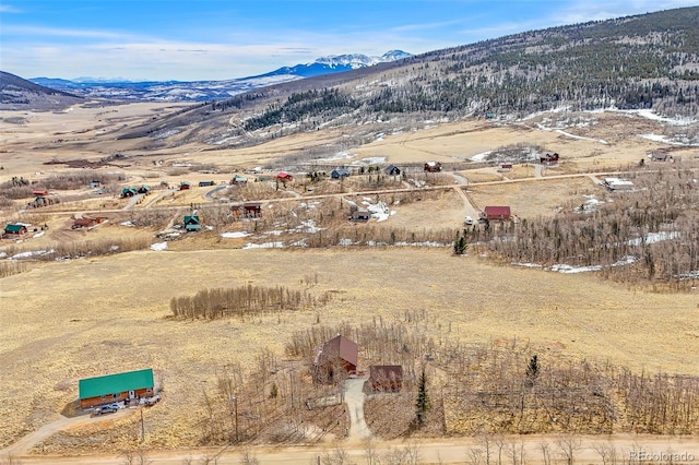 612 Sheep Ridge Rd, Fairplay, CO 80440 - view of mountain background featuring rural landscape