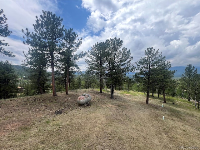 95 Appleby St, Bailey, CO 80421 - view of yard