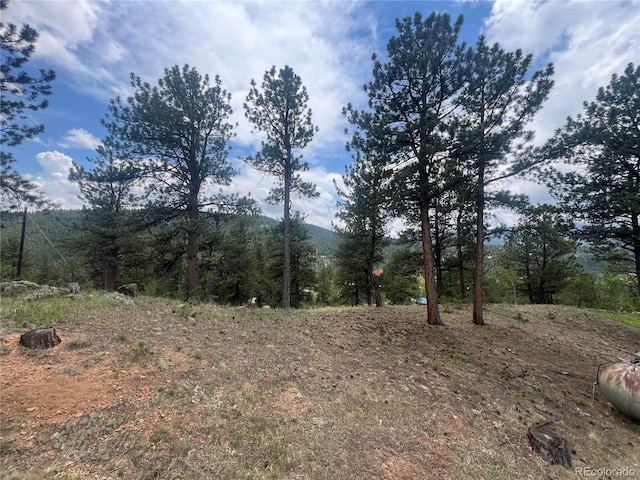95 Appleby St, Bailey, CO 80421 - view of wooded area