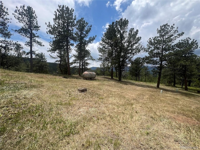 95 Appleby St, Bailey, CO 80421 - view of yard