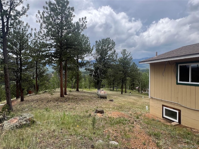 95 Appleby St, Bailey, CO 80421 - view of yard
