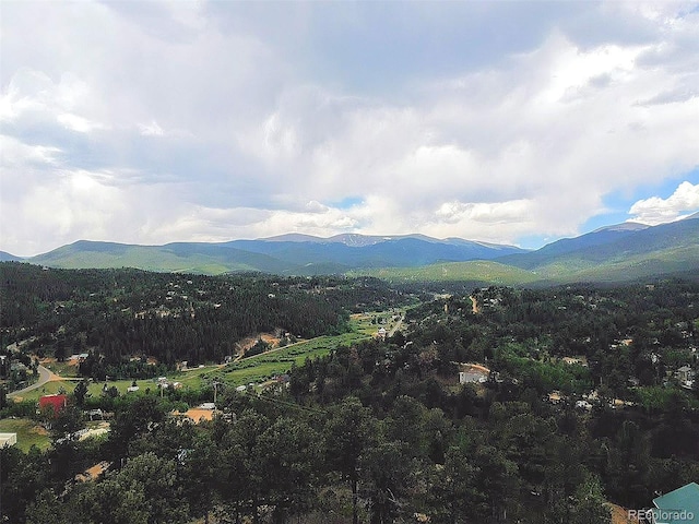 95 Appleby St, Bailey, CO 80421 - view of mountain background with a forest