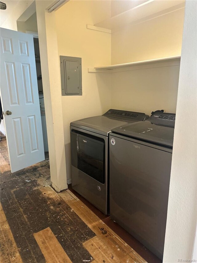 laundry room with hardwood / wood-style floors, electric panel, washer and dryer, and laundry area