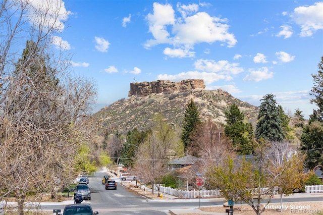 109 Cantril St, Castle Rock, CO 80104 - photo 9