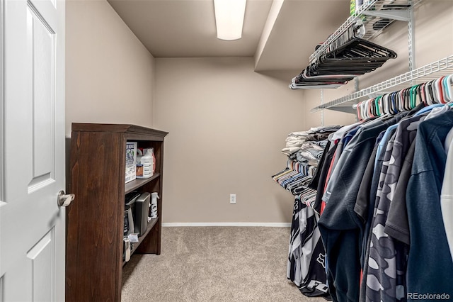 6740 S Windermere St, Littleton, CO 80120 - walk in closet featuring carpet floors
