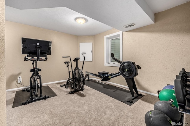 6740 S Windermere St, Littleton, CO 80120 - workout area with carpet, baseboards, and a textured wall