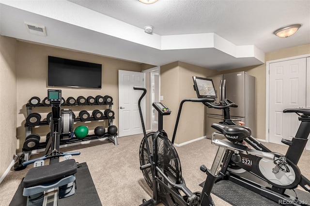 6740 S Windermere St, Littleton, CO 80120 - exercise room featuring a textured ceiling, baseboards, and carpet