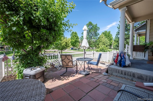 1469 Nemrick Pl, Castle Rock, CO 80109 - photo 3