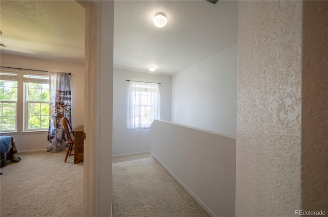 1469 Nemrick Pl, Castle Rock, CO 80109 - photo 17