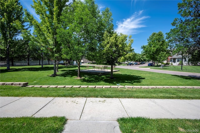 1469 Nemrick Pl, Castle Rock, CO 80109 - photo 25