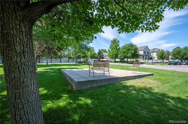1469 Nemrick Pl, Castle Rock, CO 80109 - photo 27