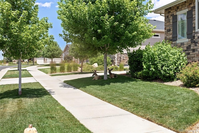 22878 E Bailey Cir, Aurora, CO 80016 - photo 27