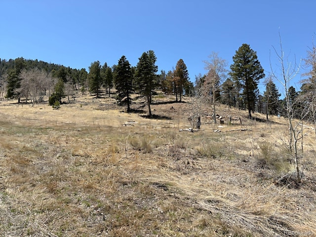 view of landscape featuring a rural view and a view of trees