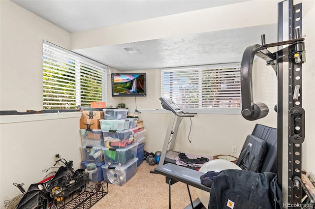 9648 Lane St, Thornton, CO 80260 - exercise room with carpet floors and healthy amount of natural light