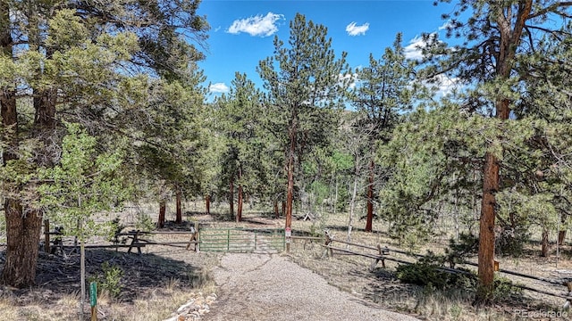 2338 Fitzsimmons Rd, Hartsel, CO 80449