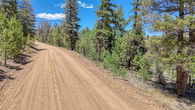 2338 Fitzsimmons Rd, Hartsel, CO 80449