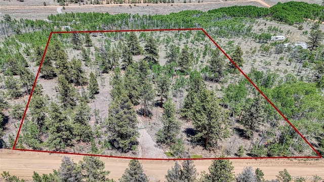 2338 Fitzsimmons Rd, Hartsel, CO 80449