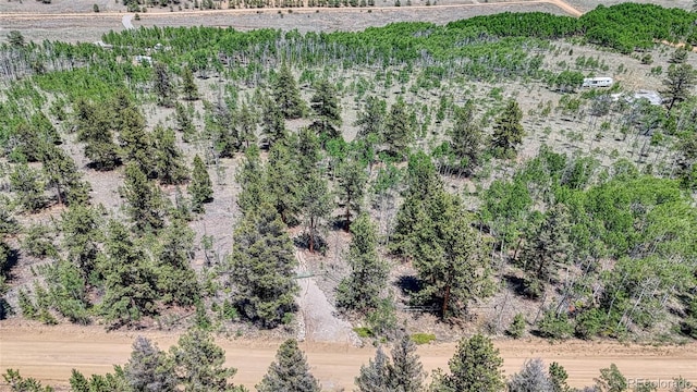 2338 Fitzsimmons Rd, Hartsel, CO 80449