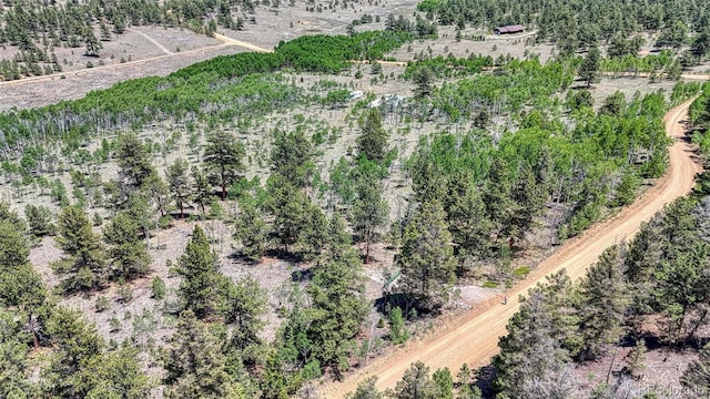 2338 Fitzsimmons Rd, Hartsel, CO 80449