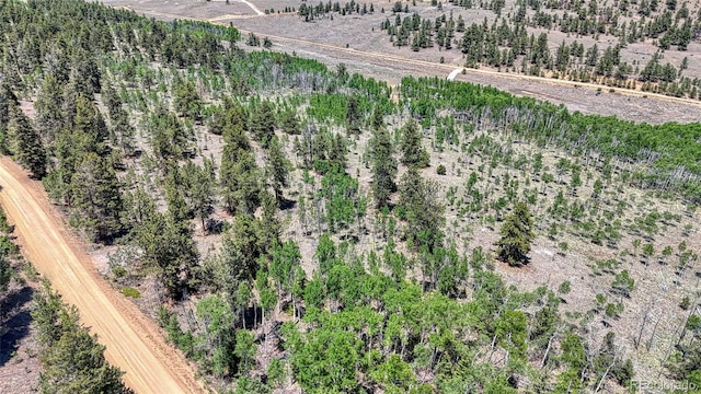 2338 Fitzsimmons Rd, Hartsel, CO 80449