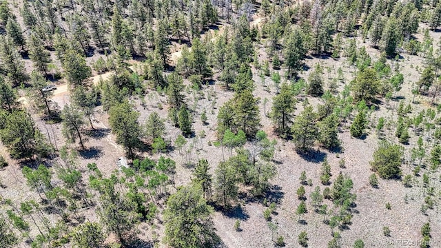 2338 Fitzsimmons Rd, Hartsel, CO 80449