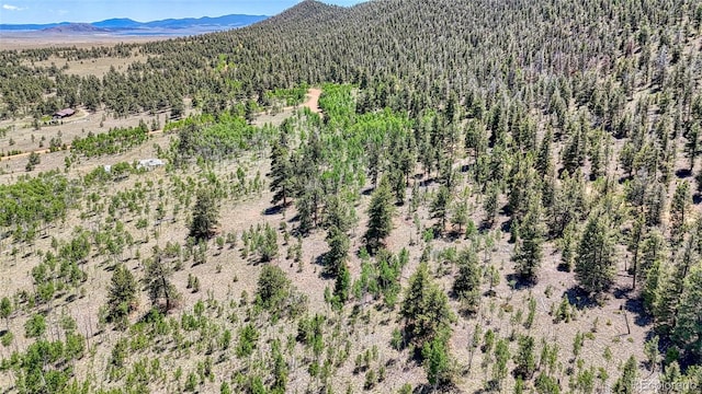 2338 Fitzsimmons Rd, Hartsel, CO 80449