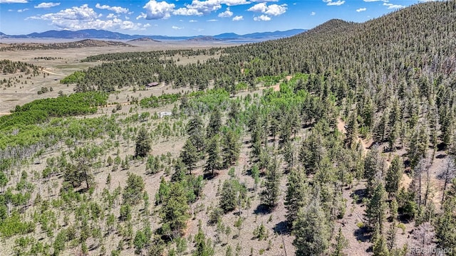2338 Fitzsimmons Rd, Hartsel, CO 80449