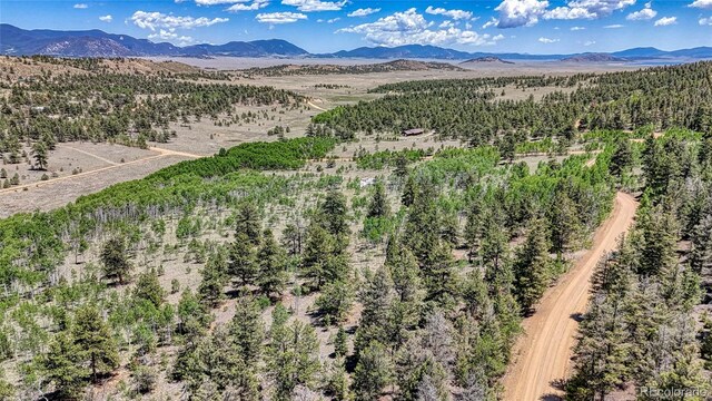 2338 Fitzsimmons Rd, Hartsel, CO 80449