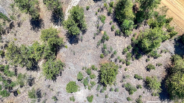 2338 Fitzsimmons Rd, Hartsel, CO 80449