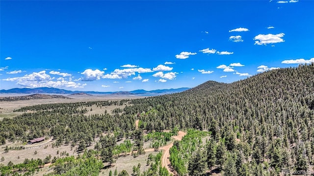 2338 Fitzsimmons Rd, Hartsel, CO 80449